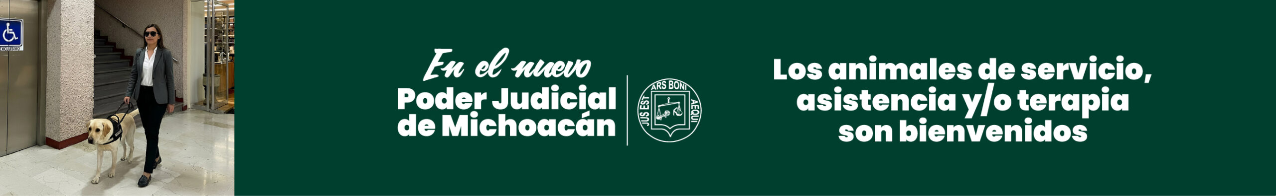 Poder judicial