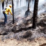 Al primer trimestre, Michoacán entre los 10 estados con mayor número de incendios forestales