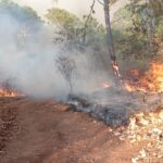 Atienden brigadas incendio forestal en Ario