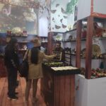 Experiencia de la Mariposa Monarca envuelve a la Feria de León