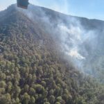 Controlado incendio forestal en zona del bosque de la Mariposa Monarca: Cofom