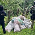 Localizados 16 costales de marihuana en Tuzantla: SSP