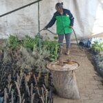Gobierno de Morelia apuesta por el fortalecimiento ambiental, con nuevo vivero municipal