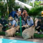 Escápate al zoológico y vive un verano inolvidable; conoce su horario de temporada