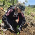 Jóvenes plantan más de 50 mil árboles en reforestación simultánea en 16 municipios