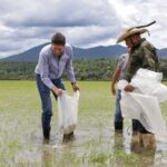 Encabeza Alfonso Martínez siembra de 100 mil ejemplares de tilapia en zona rural
