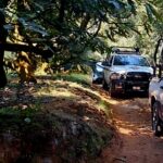 Hallan a hombre asesinado a balazos en Tingambato