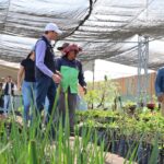 Gobierno de Alfonso Martínez trabaja en el rescate del Bosque Morelos