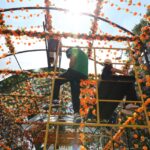 Morelia se viste de colores y olores del cempasúchil
