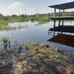 En Brasil, Secma presenta proyecto de cocodrilario ecoturístico en Lázaro Cárdenas