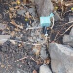 SSP y Defensa desactivan 4 explosivos improvisados en Buenavista