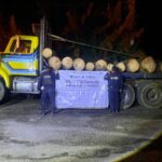 Asegurados 4 vehículos y madera, tras denuncia en Pátzcuaro: SSP