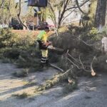 Refuerza Secretaría de Servicios Públicos el cuidado y embellecimiento de espacios públicos de Morelia
