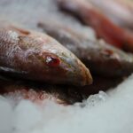 SSM llama a extremar precauciones en el consumo de pescados y mariscos