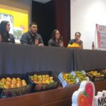 Mango michoacano, en franca decadencia productiva por impactos climáticos y problemas sociales