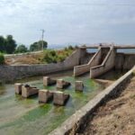 Michoacán apuesta por el riego sustentable, se usará agua tratada para el campo: Ceac