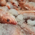 Pescaderías o locales con productos fuera de norma serán suspendidos: Coepris