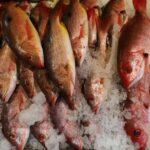 SSM activa operativo de Cuaresma; vigilará venta de pescados y mariscos