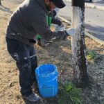 Gobierno Municipal da limpieza y mantenimiento a áreas verdes de Morelia