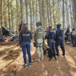 Localizan e inhabilitan campamento clandestino en Queréndaro: SSP