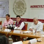 Dispersados más de 374 mdp en incentivos para productores de maíz en Michoacán