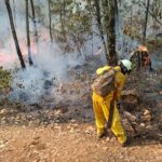 Incendio en Área Natural Protegida de Tzitzio, controlado al 100 %
