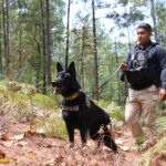 Despliega FGE operativo terrestre y aéreo en Villa Madero en atención a denuncias de ambientalistas