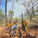 Controlado al 100 % incendio en Nuevo Urecho