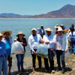 Siembra Compesca 150 mil tilapias para impulsar la economía en Churumuco