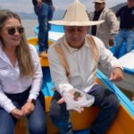 Gobierno de Michoacán siembra mil ejemplares de achoque en el lago de Pátzcuaro