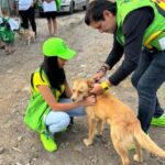 PVEM Michoacán, a través de su Secretaría de Medio Ambiente, llama a reforzar el cuidado animal por temporada de calor