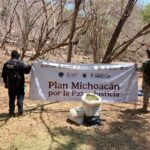 SSP y Defensa incineran 12 mil 600 plantas de mariguana