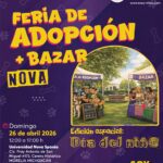  Este domingo, michis y lomitos de La Casita de Frijol y MISITU te esperan: adopta un peludo en feria
