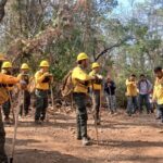 Michoacán logra reducir más del 44 % la superficie afectada por incendios forestales