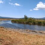 Hallazgo de tres nuevos manantiales consolidan rescate del lago de Pátzcuaro: Bedolla