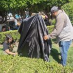 Maravatío construye su acervo artístico: 21 esculturas en cantera llegarán al espacio público