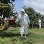 Apoyados en Michoacán más de 88 mil productores del campo: Bedolla