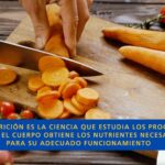 La Nutrición es una aliada estratégica en la salud pública, explica Especialista
