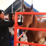 Expo Agrotegan 2026 cierra con éxito histórico y reafirma respaldo de Morelia al campo y sus familias