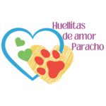 Lucrar con razas “puras” no es bienestar: criollos dominan más del 90% de los hogares en México