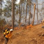 Con apoyo aéreo, 149 brigadistas combaten incendio forestal en Salvador Escalante: Cofom