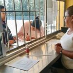 ¡Que no se te pase! Mañana inicia la entrega de fichas para Escuelas Normales