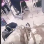 Video exhibe amenazas de muerte hechas por padre de familia contra alumnos de la UNLA; FGE investiga el caso