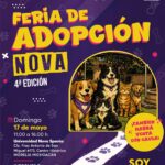  Michis exigentes busca Karen’s responsables; lomitos quieren amor en feria de adopción en Morelia