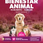 Gladyz Butanda invita a Jornada de Bienestar Animal en el teleférico de Uruapan