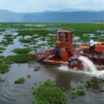 Arranca limpieza en la presa Malpaís para combatir el lirio acuático y proteger el agua: Bedolla