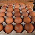 ¿Dónde comprar más barato? La estrategia que protege la economía de tu familia