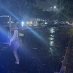 Tormenta eléctrica provoca caída de árboles, inundaciones y cortes de energía en Morelia