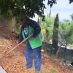 Gobierno de Morelia mantiene poda preventiva ante temporada de lluvias