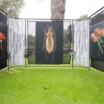 “Insectus” llega con ciencia, arte y experiencias para toda la familia: Gabriela Molina